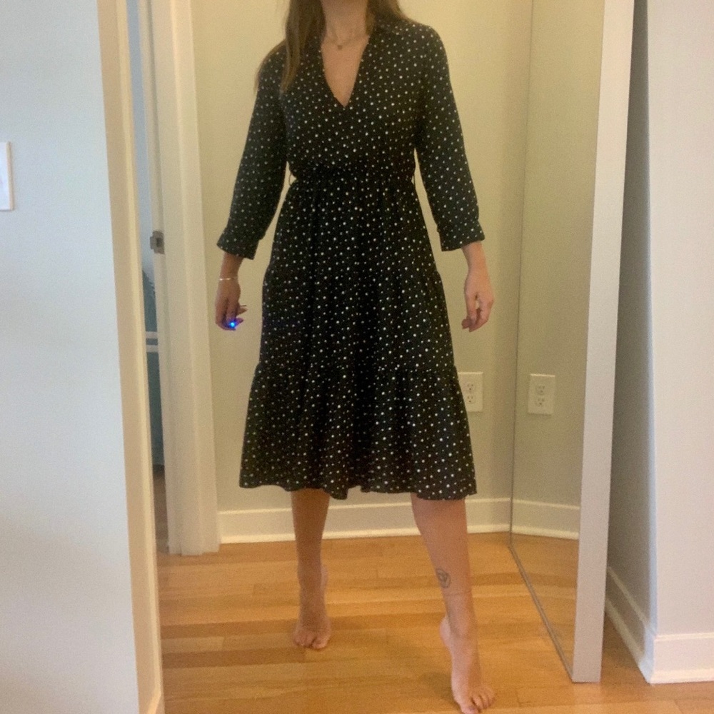 Zara Polka Dot Dress